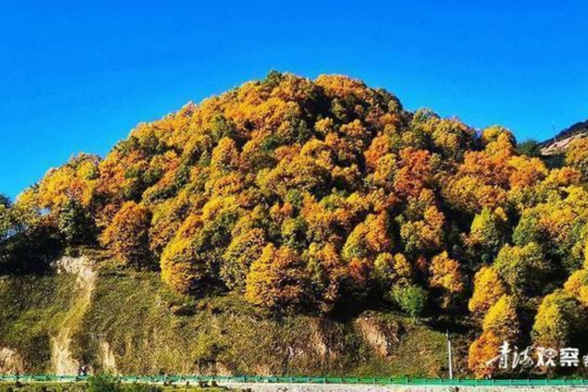 Qinghai Beishan
